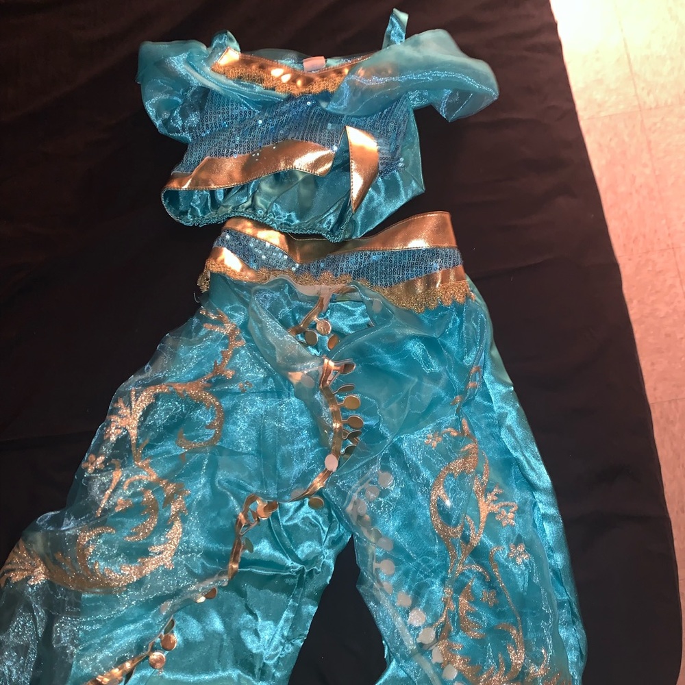 Aladdin Jasmine Costume